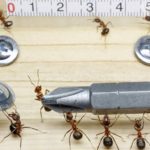 ¿La ventaja competitiva definitiva…?